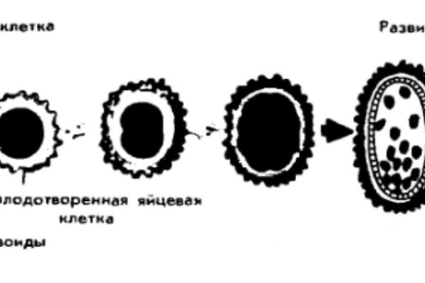 Кракен сайт 16